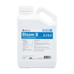 Athena-Bloom-B-Web-Old