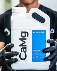 Athena Nutrients Lifestyle Image 40