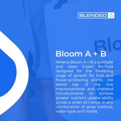 Athena Nutrients Blended Bloom A + B Group Explainer Pt.2