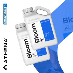 Athena Nutrients Blended Bloom A + B Group Individual