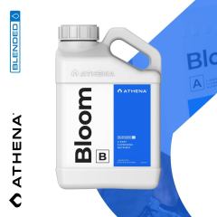 Athena Nutrients Blended Bloom B Individual