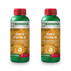 Coco Forte A/B