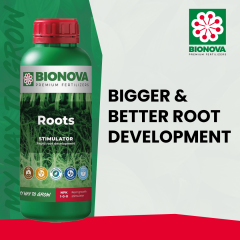 BN Roots Social Image