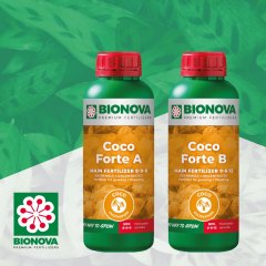 Coco Forte A &amp; B Social Image