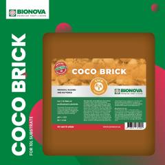 BioNove Coco Brick 2022