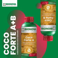 BioNova Coco Forte A/B 2022