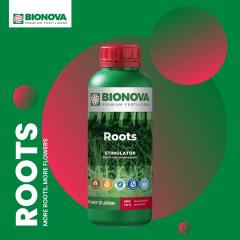BioNova Roots 2022