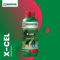 BioNova X-Cel 2022