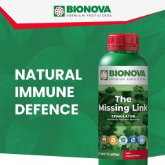 The Missing Link Social Image