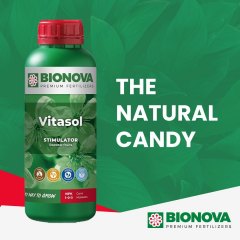 Vitasol Social Image