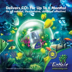 Exhale Bubble Illustration Social Asset