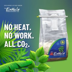 ExHale - No Heat, no work, all Co2 (Part 1 of 2) 2022