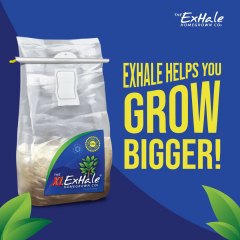 Exhale Helps You Grow Bigger Social Asset