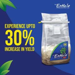 Exhale Experience Upto 30% Increase In Yields Social Asset