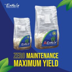 Exhale Zero Maintenance Maximum Yield Social Asset