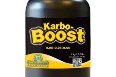 Karbo Boost (1KG)