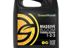 Massive Bloom (4L)