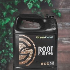 Root Builder Social Image (2021)