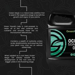 Green Planet Ocean Magic USP Social Image (Part 2 of 2) 2022