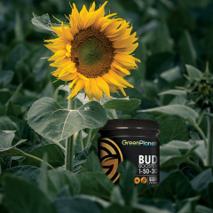 Bud Boost Social Image (2021)