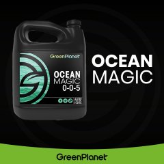 Ocean Magic Product Social Asset (2021)