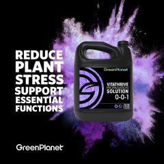 Vitathrive Explosion Social Asset (2021)