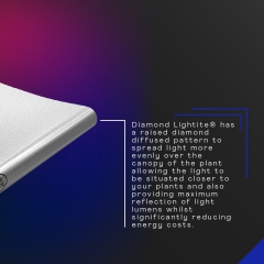 Horticultural Sheeting Social Assets 2022