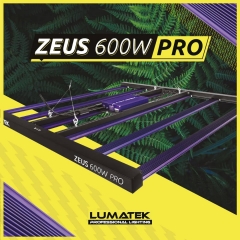 Zeus 600w Pro 2 2021