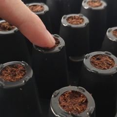 Plug-Life-Tray-Underneath