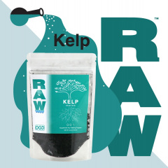 RAW Kelp Social Image (2021)