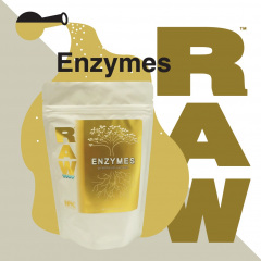 RAW Enzymes Social Image (2021)