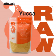 RAW Yucca Social Image (2021)