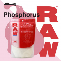 RAW Phosphorus Social Image (2021)