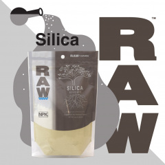 RAW Silica Social Image (2021)