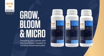 Remo-Grow-Bloom-Micro-Header-Tablet