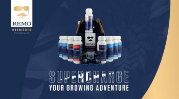 Remo-Supercharge-your-growing-adventure-header-mobile