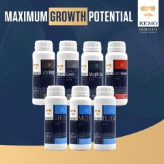 REMO Maximum Growth Potential Social Image