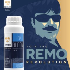 Join The REMO Revolution Social Image