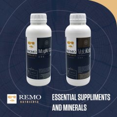 REMO Wood Social Image