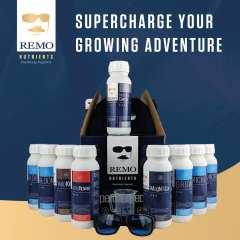 Supercharge Your Growing Adventure Social Image