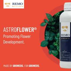 AstroFlower Product Info 1 Social Image 2022