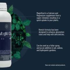 Magnifical Product Info 2 Social Image 2022