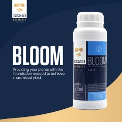 REMO Bloom Social Asset