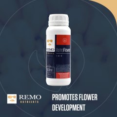 REMO Fire Social Image