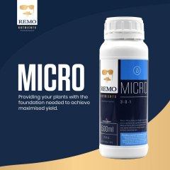 REMO Micro Social Asset