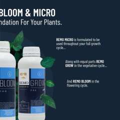 Remos Grow Bloom Micro Product Info 2 Social Image 2022