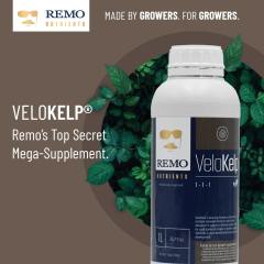 VeloKelp Brown Social Image 2022