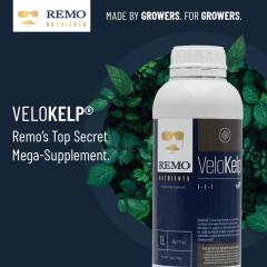 VeloKelp Dark Blue Social Image 2022