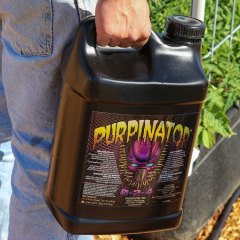 Purpinator In Use Social Asset