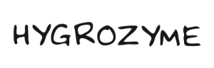 hygrozyme logo black 500px